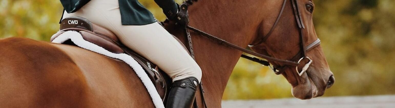 L’équitation : allier sécurité, stabilité et confort pour une pratique optimale