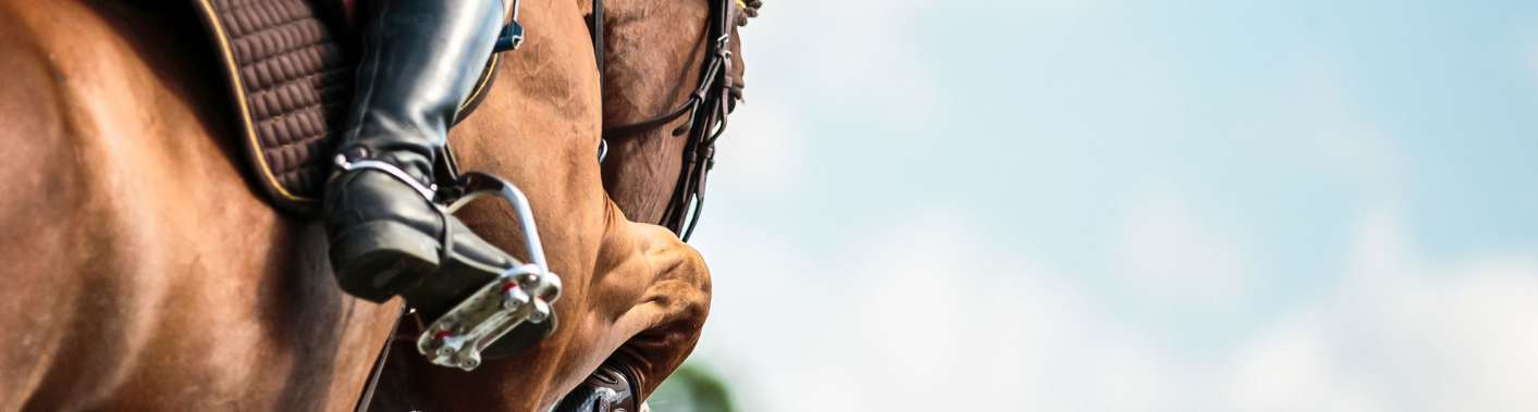 10 conseils essentiels pour les débutants en équitation